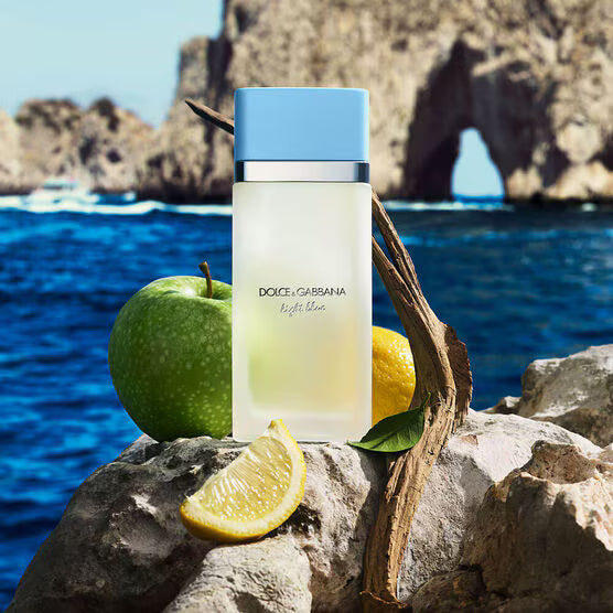 Perfume dolce&gabbana light blue feminino eau de toilette